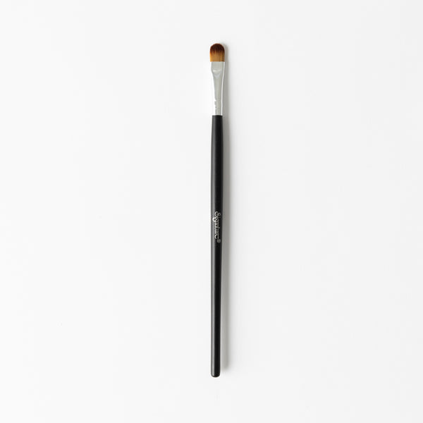 Multi Purpose Shadow Brush