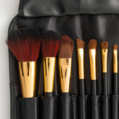 10 Piece Quality Brush Set